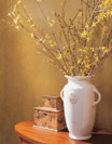 Modern Masters Decorative Painters