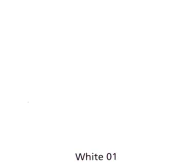 BENJAMIN MOORE PAINT N096-01 MOOGLO 100% ACRYLIC HOUSE & TRIM PAINT WHITE SIZE:1 GALLON