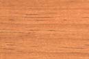 CABOT STAIN 8121 GOLDEN OAK PENETRATING OIL WOOD STAIN SIZE:1/2 PINT.