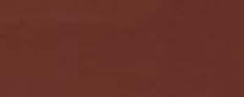 MODERN MASTERS TP10424-GAL BURNT SIENNA THEME PAINT SIZE:1 GALLON.