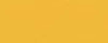 MODERN MASTERS TP10432-GAL MOSS YELLOW THEME PAINT SIZE:1 GALLON.